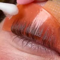 elleebana korean lash lift flat shields - lash lift society